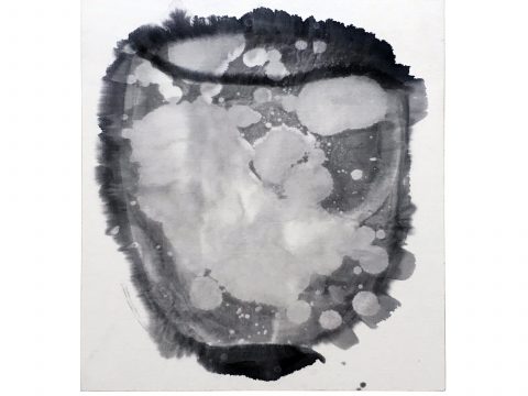 STRIPPED OF ALL COLOR 02, 2012–13 STRIPPED OF ALL COLOR 02, 2012–13