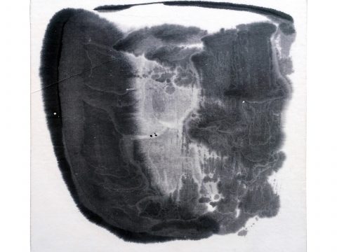 STRIPPED OF ALL COLOR 03, 2012–13 STRIPPED OF ALL COLOR 03, 2012–13
