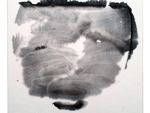 STRIPPED OF ALL COLOR 05, 2012–13 STRIPPED OF ALL COLOR 05, 2012–13