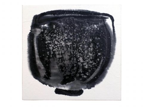 STRIPPED OF ALL COLOR 10, 2012–13 STRIPPED OF ALL COLOR 10, 2012–13