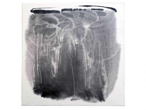 STRIPPED OF ALL COLOR 11, 2012–13 STRIPPED OF ALL COLOR 11, 2012–13
