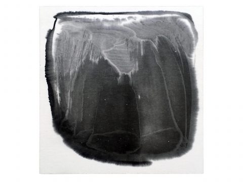 STRIPPED OF ALL COLOR 13, 2012–13 STRIPPED OF ALL COLOR 13, 2012–13