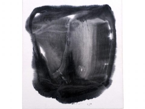 STRIPPED OF ALL COLOR 14, 2012–13 STRIPPED OF ALL COLOR 14, 2012–13