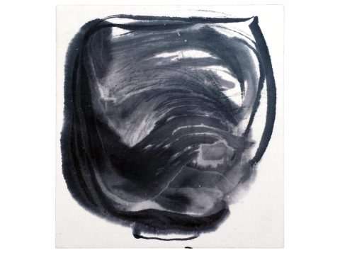 STRIPPED OF ALL COLOR 15, 2012–13 STRIPPED OF ALL COLOR 15, 2012–13