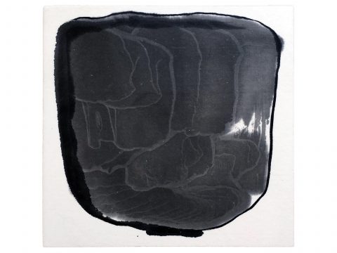 STRIPPED OF ALL COLOR 19, 2012–13 STRIPPED OF ALL COLOR 19, 2012–13