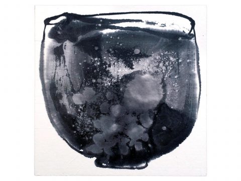 STRIPPED OF ALL COLOR 20, 2012–13 STRIPPED OF ALL COLOR 20, 2012–13