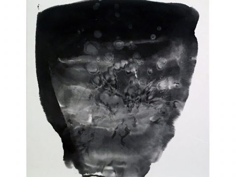 STRIPPED OF ALL COLOR 22, 2012–13 STRIPPED OF ALL COLOR 22, 2012–13