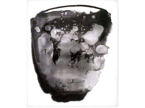 STRIPPED OF ALL COLOR 23, 2012–13 STRIPPED OF ALL COLOR 23, 2012–13