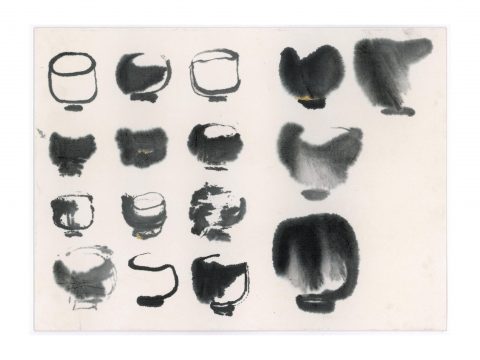 STRIPPED OF ALL COLOR 24, 2012–13 STRIPPED OF ALL COLOR 24, 2012–13