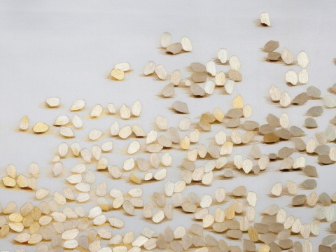 RICE REFLECTIONS, 2019