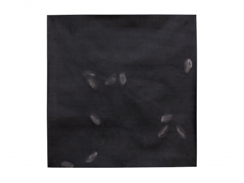 RICE RICE RICE 1–24, 2019
