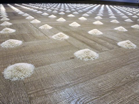 RICE SQUARE MOUNTAIN, 2019