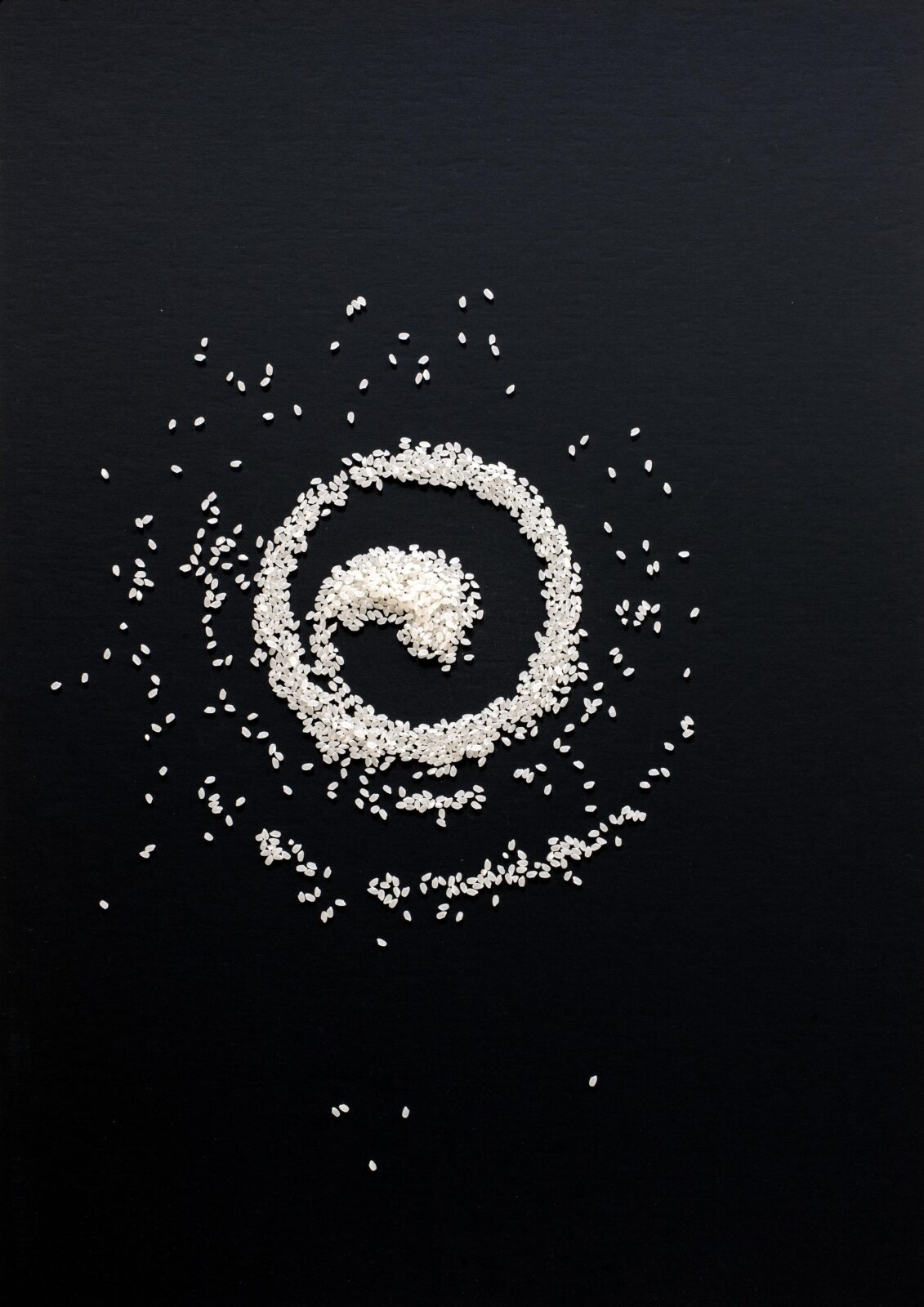 GALAXIES 8