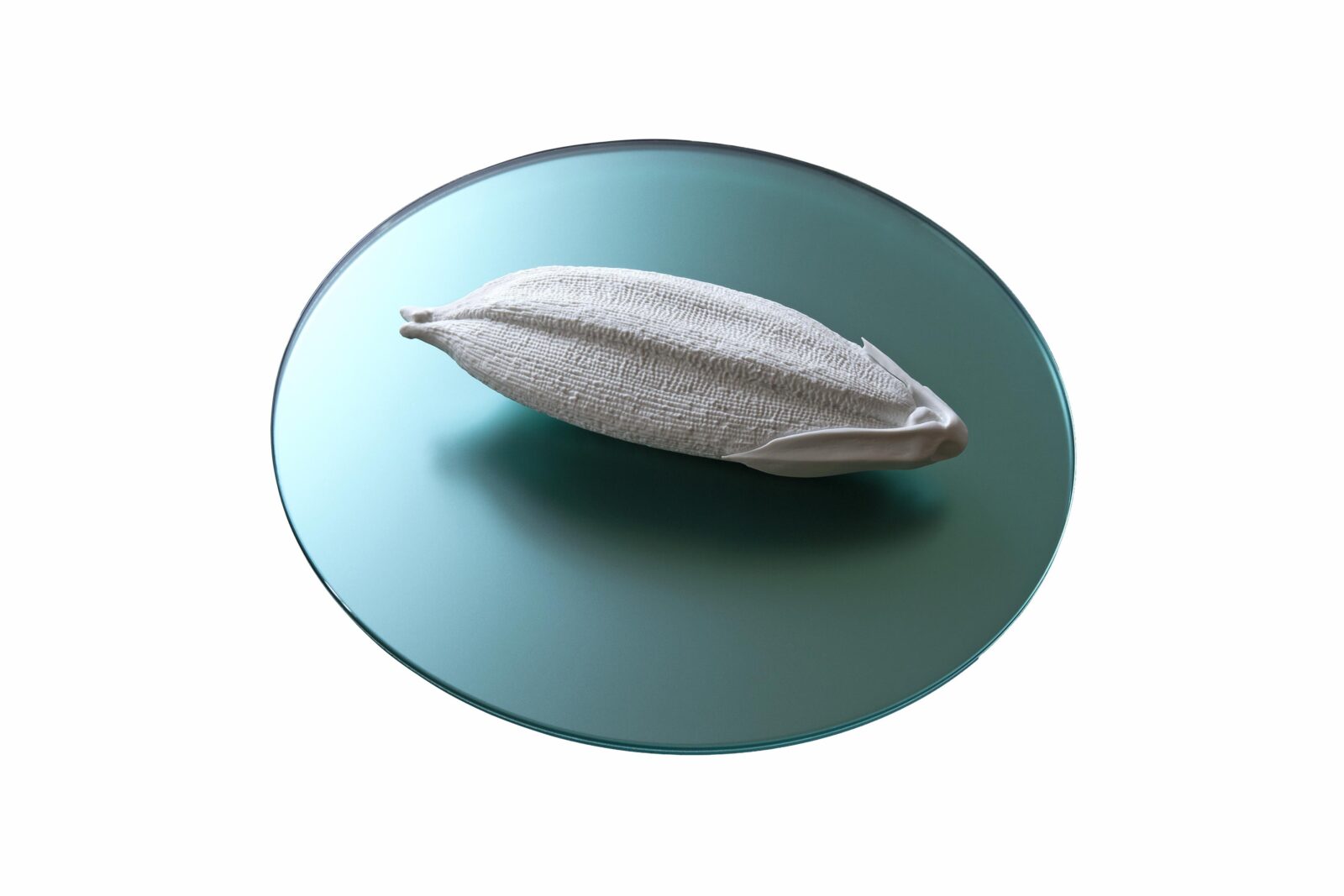 RICE GRAINS