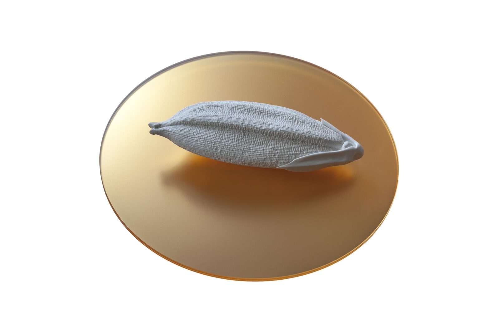RICE GRAINS