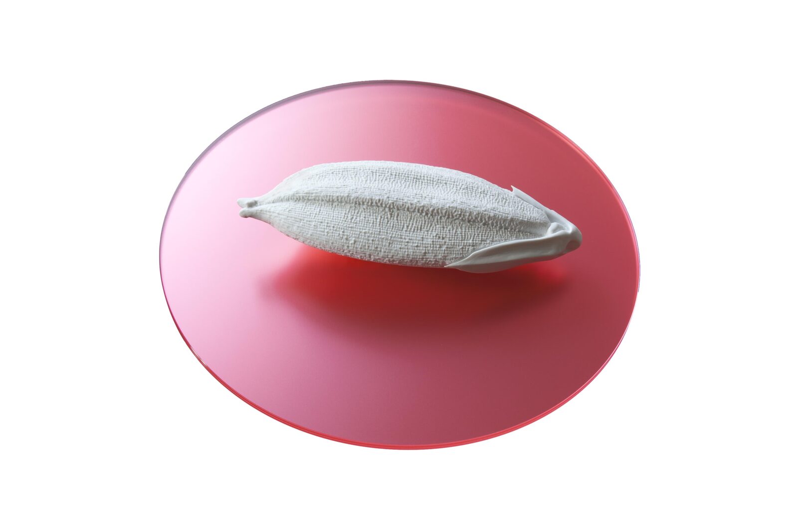 RICE GRAINS