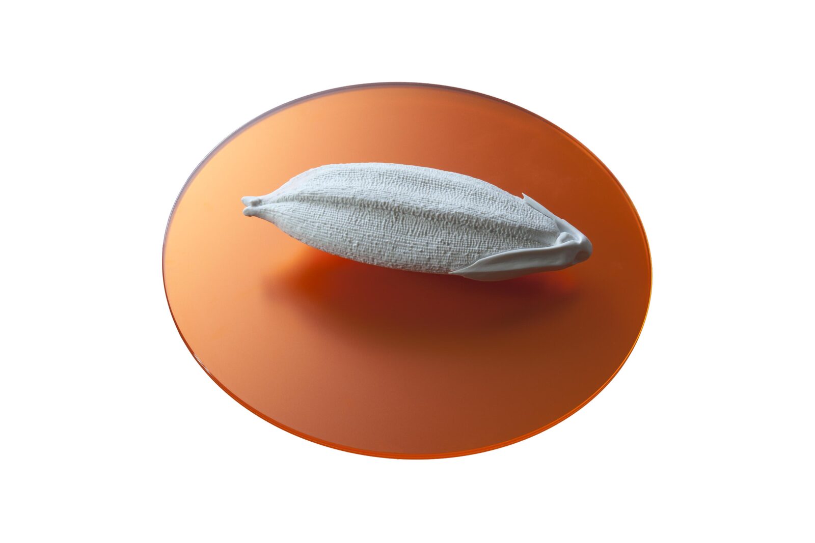 RICE GRAINS