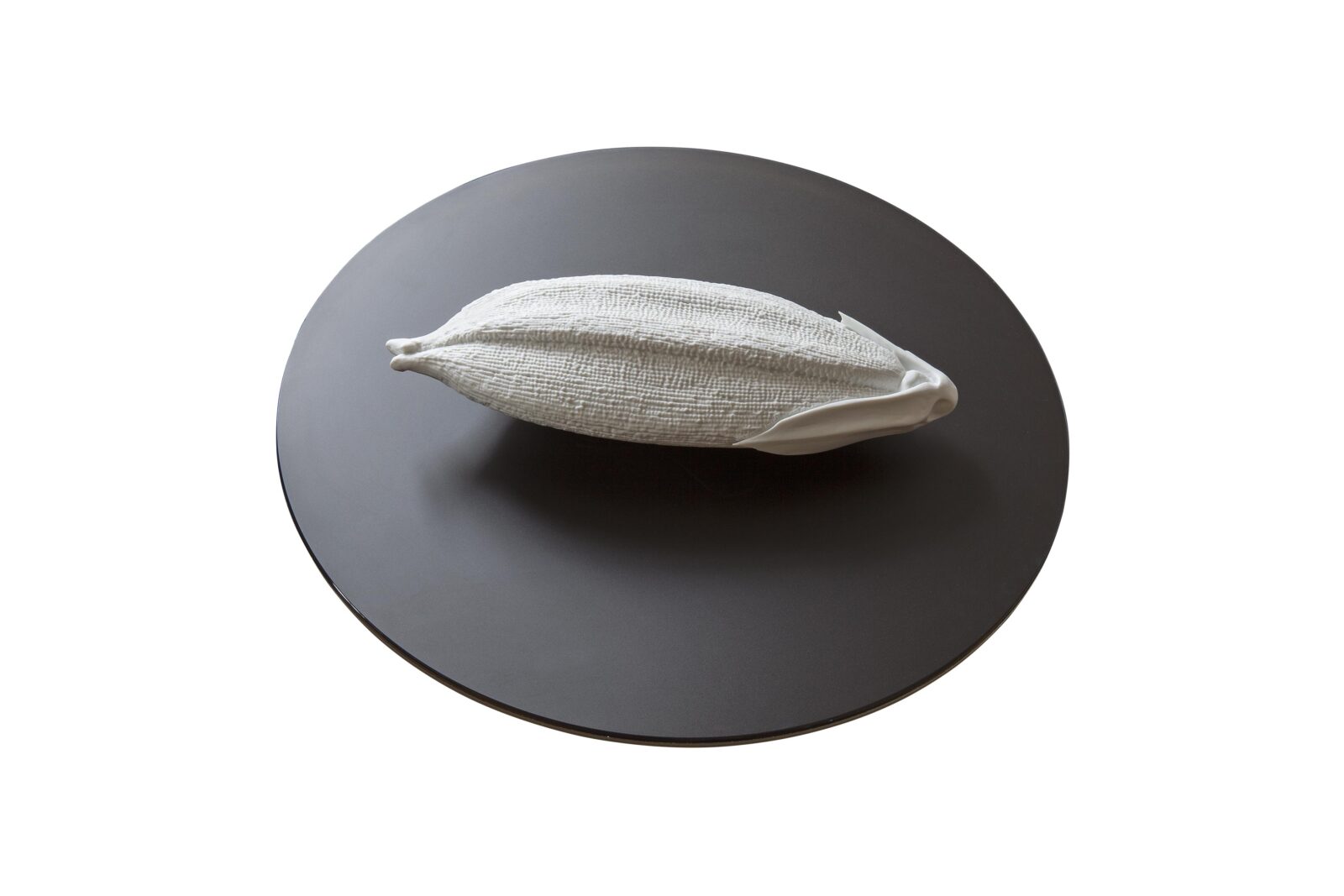 RICE GRAINS