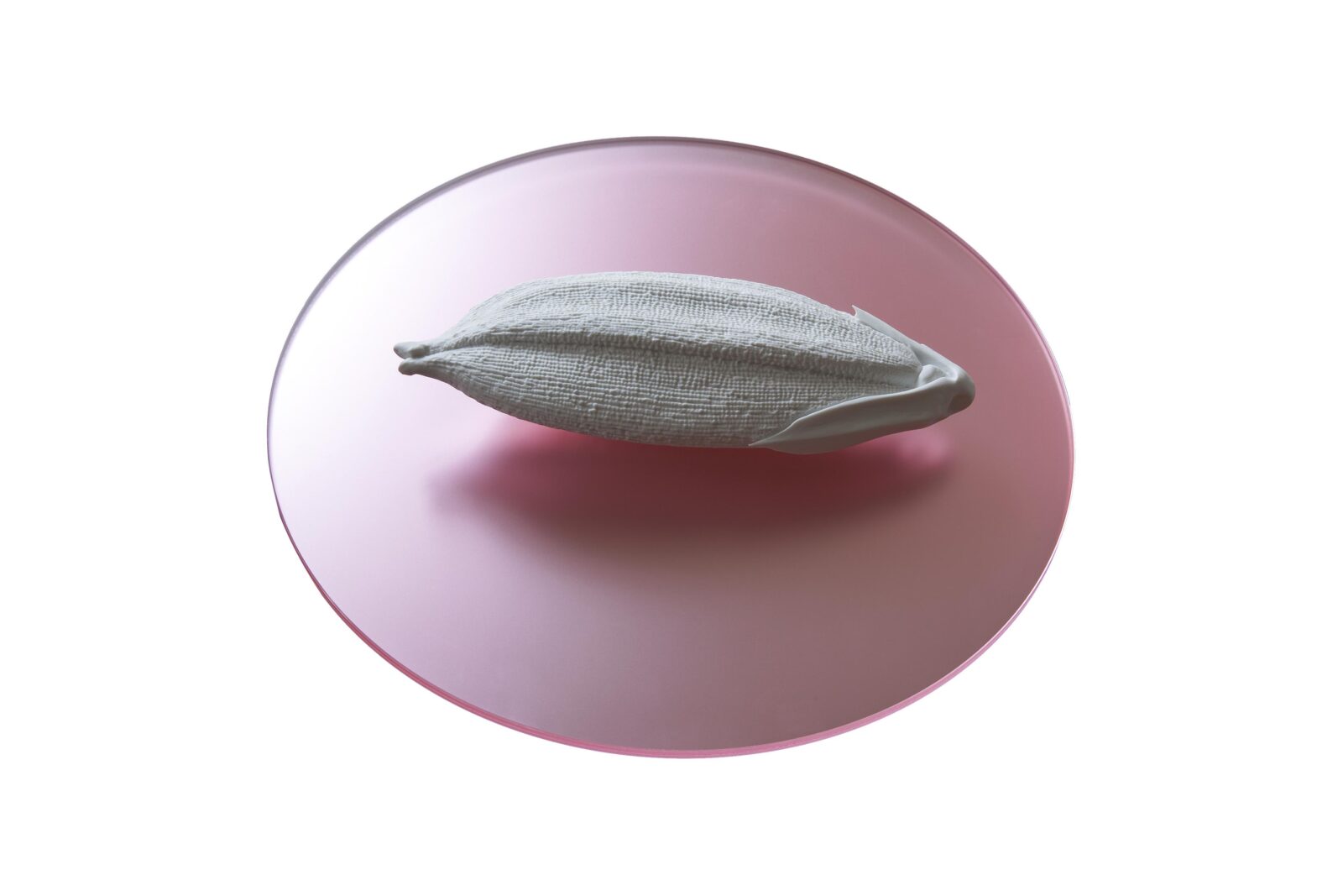 RICE GRAINS