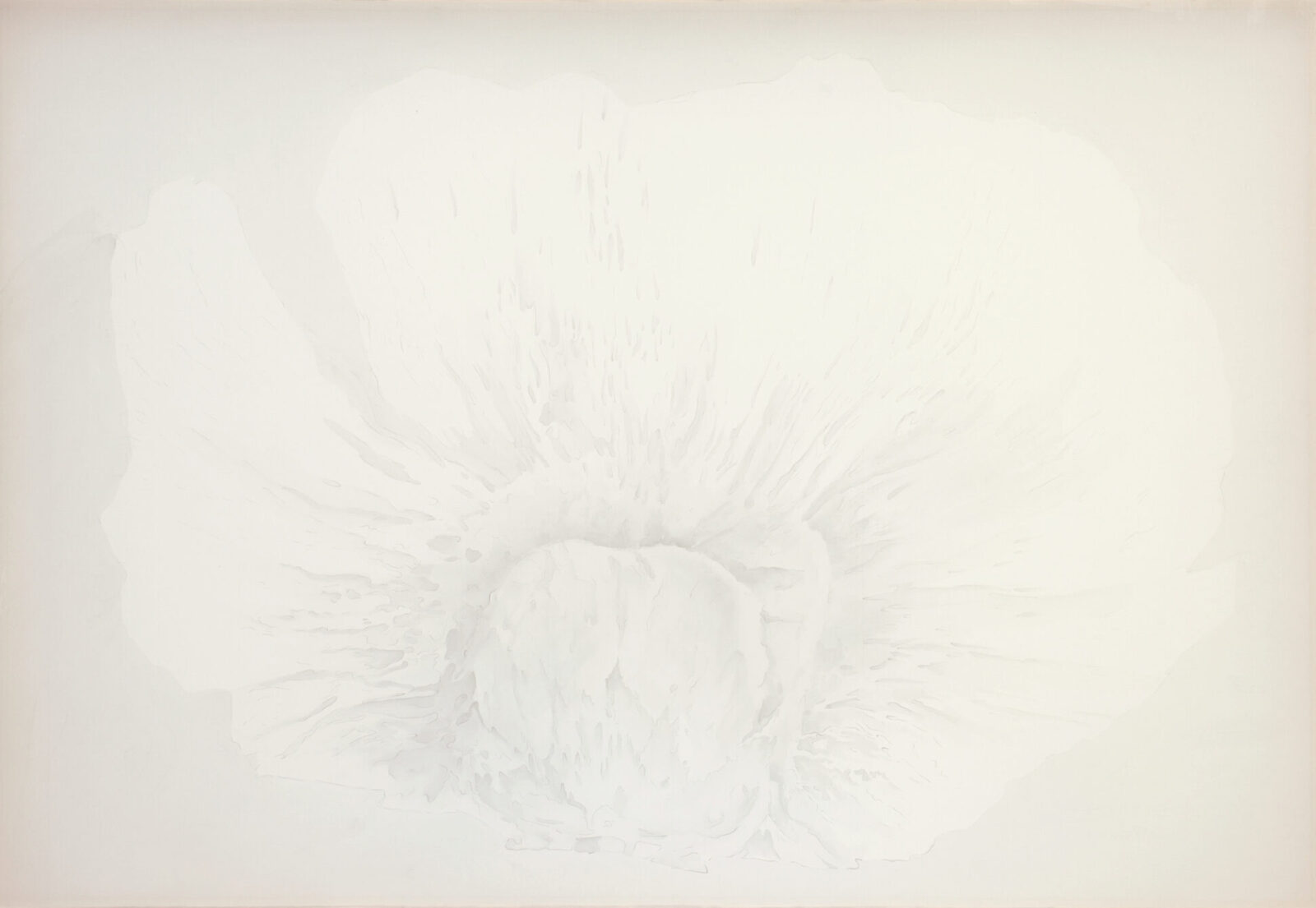 SEAD FLOWER 3