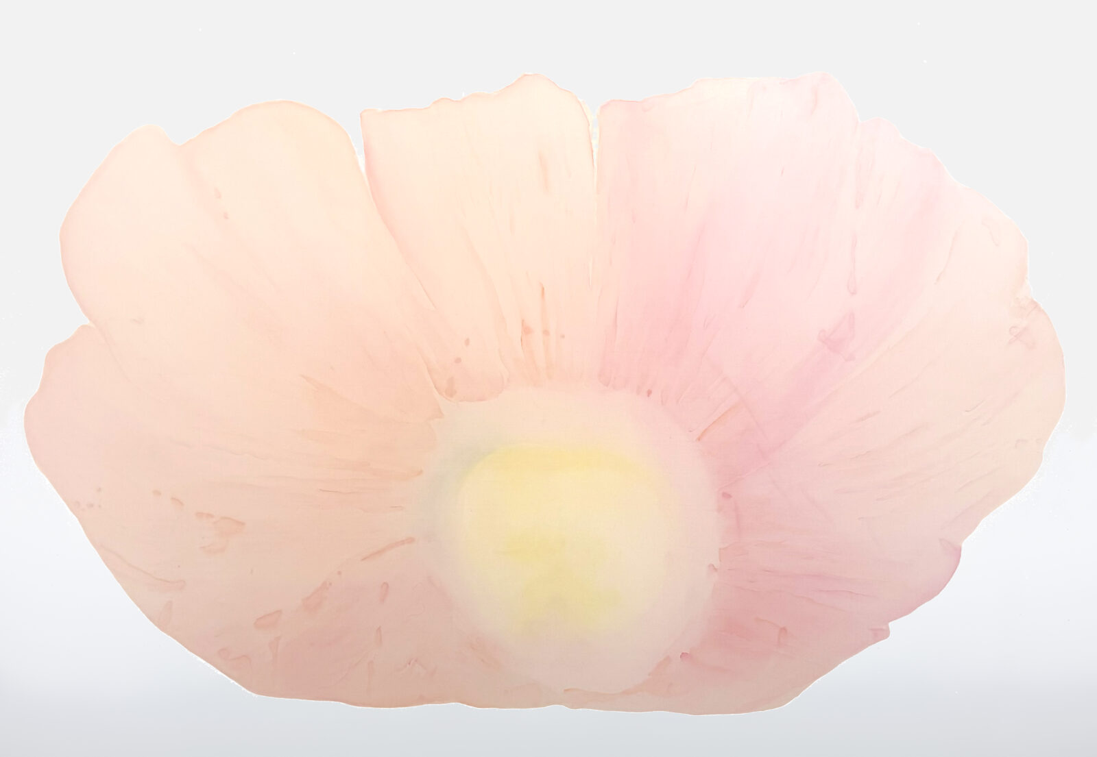 SEAD FLOWER